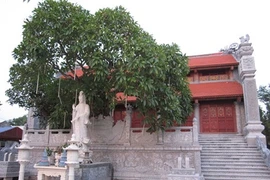 Cuong Xa - la pagode millénaire à Hai Duong