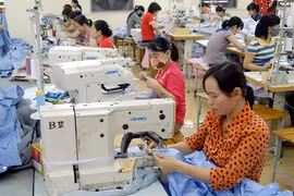 Hanoï contribue au succès des start-ups