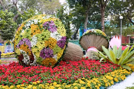 700.000 visiteurs à la Fête des fleurs printanières de Ho Chi Minh-Ville