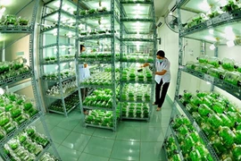 Des zones high-tech aussi dans l'agriculture