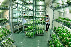 Des zones high-tech aussi dans l'agriculture