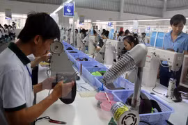 Les Vietnamiens répondent aux exigences des employeurs tchèques