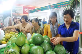 Hanoï : Semaine de l’identification des produits agricoles sains et des spécialités du Sud