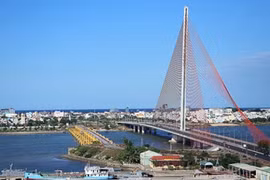 Mobiliser les Viêt kiêu au développement national