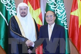 Promouvoir la coopération parlementaire Vietnam - Arabie saoudite