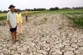 Le delta du Mékong cherche à s’adapter à la salinisation et à la sécheresse