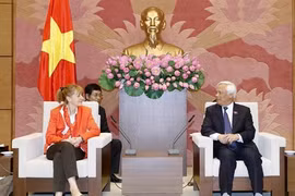 Vietnam-Allemagne : Renforcement de la coopération entre les deux organes législatifs