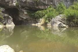 Une grotte encore à l’abri des regards à Quang Ninh