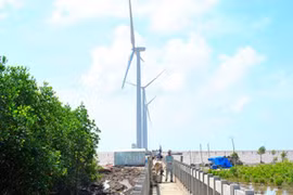Coopération pour le développement de l’électricité éolienne au Vietnam