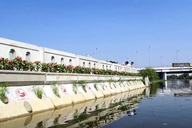 Du nouveau dans la protection des berges