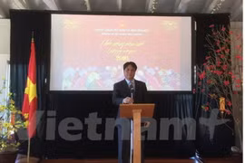 La communauté vietnamienne à l'étranger fête le Têt du Singe