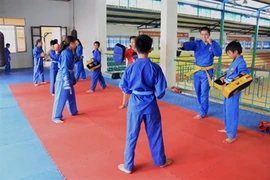 La sélection de Vovinam de Cao Bang à la conquête des sommets