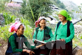 Les minorités ethniques représentent 14,6 % de la population du Vietnam