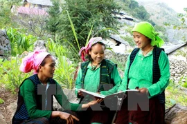 Les minorités ethniques représentent 14,6 % de la population du Vietnam