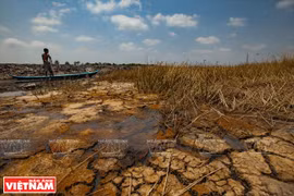 La lutte contre la sécheresse et l'intrusion saline dans le delta du Mékong
