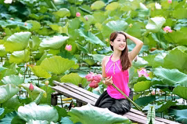 Hano​i à la saison des lotus