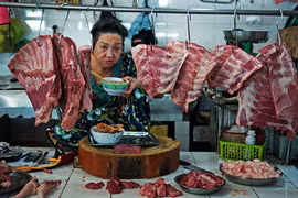 Un photographe vietnamien primé aux Etats-Unis