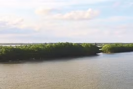 Thai Binh: l’îlot Côn Vành, un petit bout de nature sauvage 