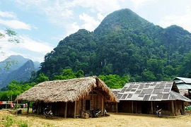 Découverte de la beauté intacte du village de Coi 