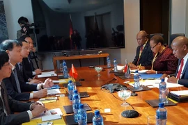 Troisième session du Comité mixte du Commerce Vietnam - Afrique du Sud