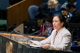 Le Vietnam à un débat du Conseil de sécurité sur les enfants et les conflits armés