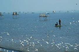 Dans la province de Nam Dinh : les joies du tourisme communautaire