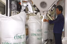 Les importateurs chinois sondent le marché du riz d'An Giang