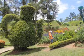 Le parc municipal de Da Lat, le rendez-vous de mille fleurs