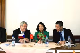 Renforcement de la coopération entre les partis communistes vietnamien et tchèque