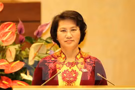 L'AN approuve la démission des vice-présidents et membres du CNE et du Conseil de la défense