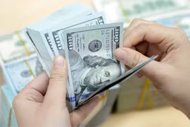 La BEV annonce le taux central de change VND/USD