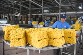 10 mois: exportations d’un million de tonnes de caoutchouc