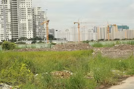 HCM-Ville : premier cas d’infection du virus Zika chez l’homme