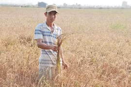 Aide de l’UE dans la lutte contre la sécheresse et la salinisation