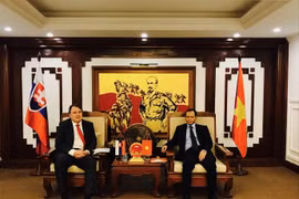 Examen de l’ouverture d'une ligne aérienne directe Vietnam - Slovaquie