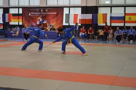 Les championnats d’Europe de Vovinam Viet Vo Dao en Suisse