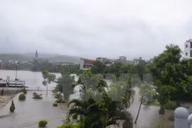 Exercice de simulation de catastrophe naturelle à Hanoi