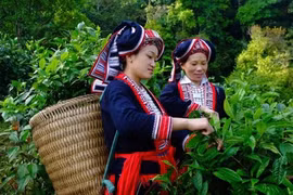 La Suisse au chevet des ethnies minoritaires