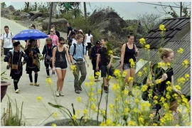 Le tourisme vietnamien cherche un nouveau souffle