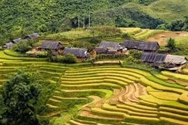 Lào Cai: De nombreux résultats pour le programme 135