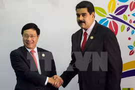 Rencontres du vice-PM Pham Binh Minh en marge du 17e sommet du MNA