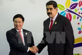 Rencontres du vice-PM Pham Binh Minh en marge du 17e sommet du MNA