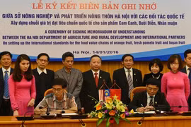 Hanoi va exporter des fruits au Japon et en Malaisie