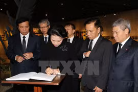 Une délégation vietnamienne rend hommage au leader cubain Fidel Castro