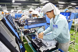 70% des entreprises allemandes satisfaites des résultats de leur activité au Vietnam