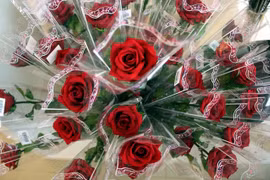 Diverses activités en l’honneur de la Journée internationale de la femme