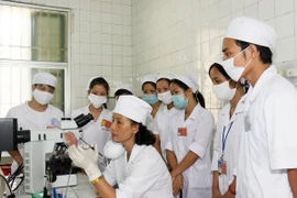 Vietnam et Australie échangent des expériences dans la santé 