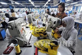 Le Mercosur​ stimule ses échanges dans le commerce et l’investissement avec l’ASEAN