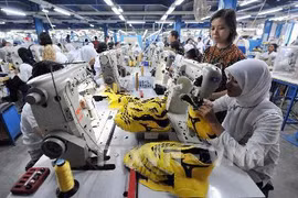 Le Mercosur​ stimule ses échanges dans le commerce et l’investissement avec l’ASEAN