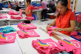 Des entreprises japonaises souhaitent investir au Vietnam
